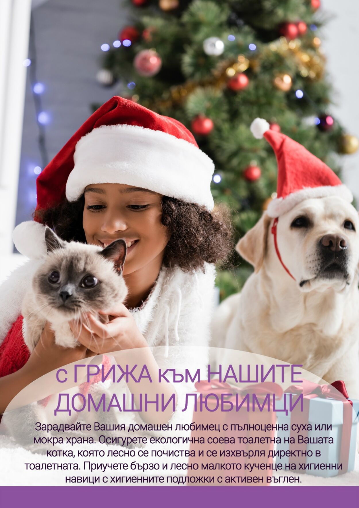 каталог Be Fit 01.12.2023 - 31.12.2023