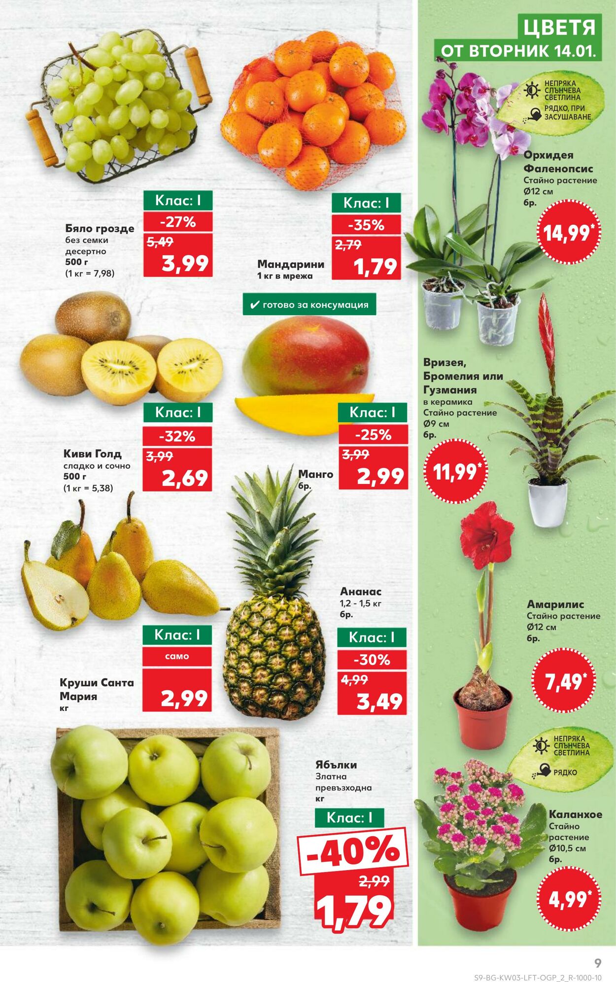 каталог Kaufland 16.01.2025 - 30.01.2025