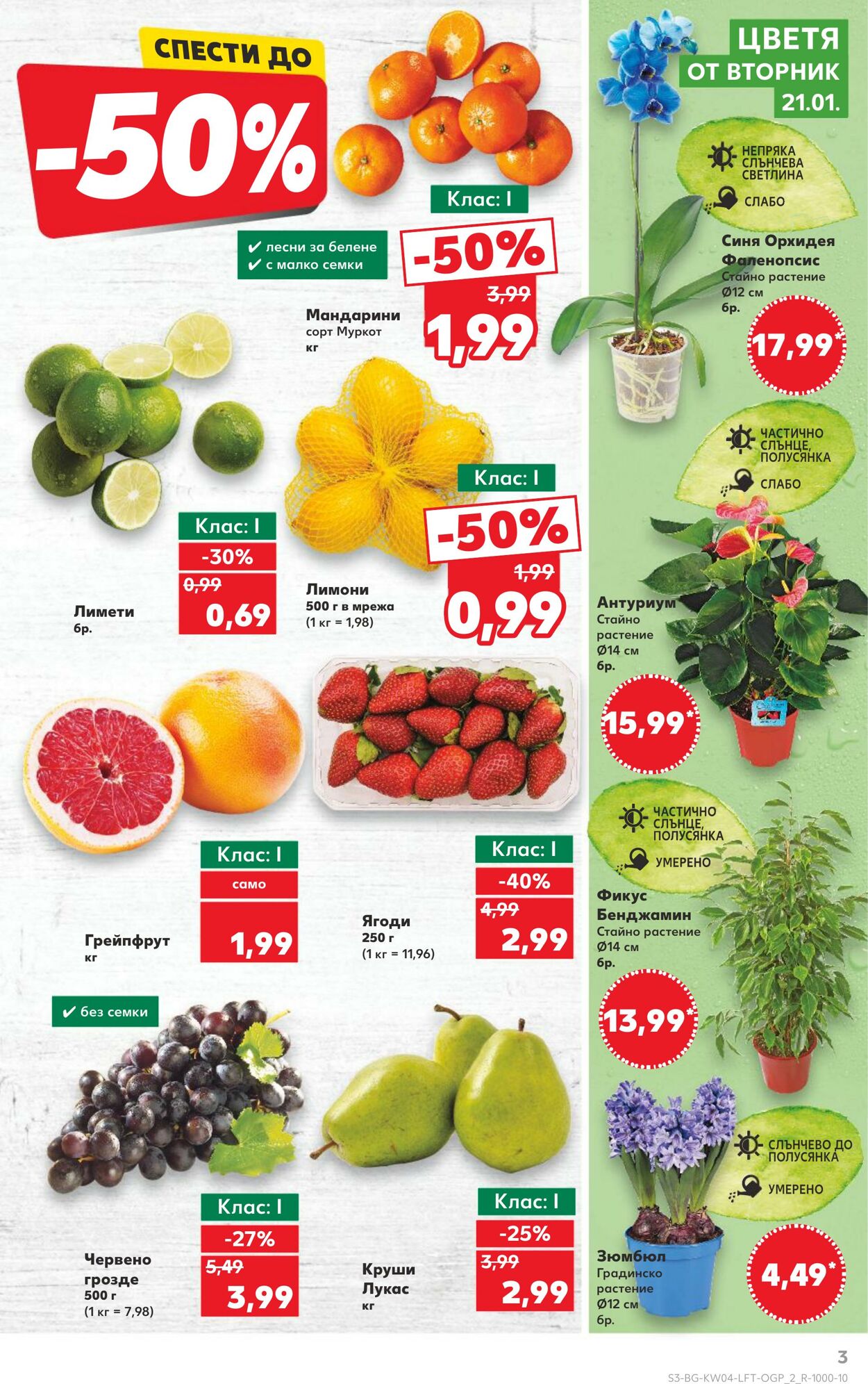 каталог Kaufland 21.01.2025 - 04.02.2025