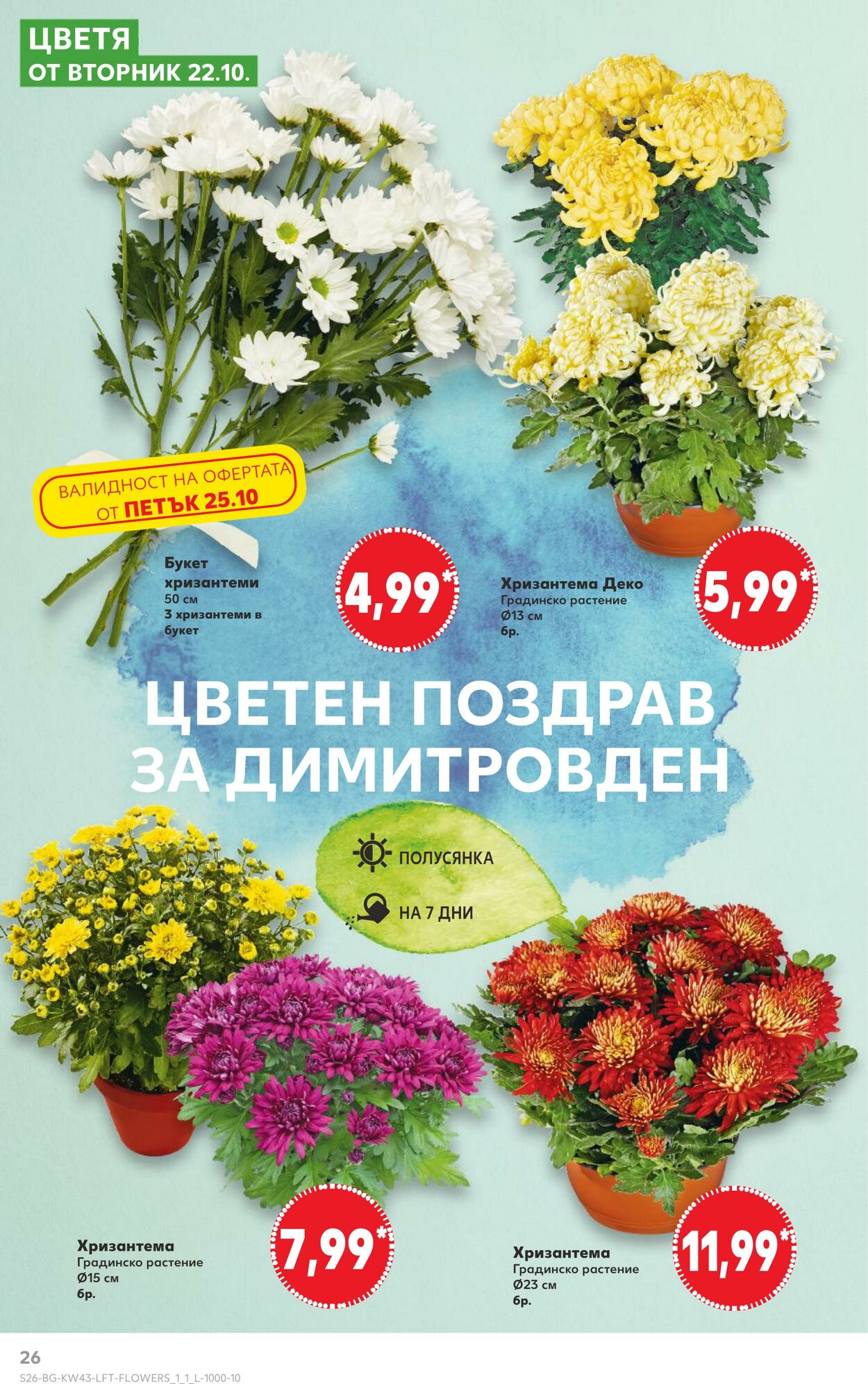 каталог Kaufland 25.10.2024 - 10.11.2024