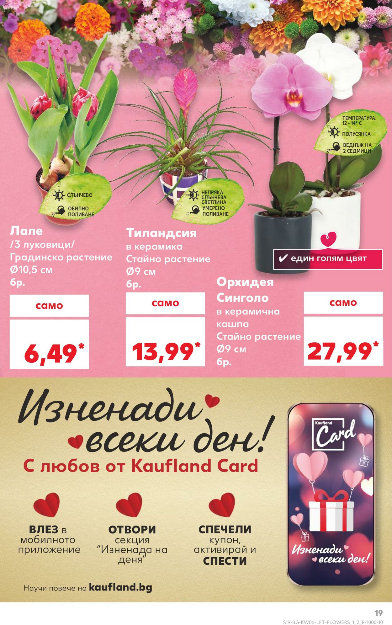 каталог Kaufland 03.02.2025 - 17.02.2025