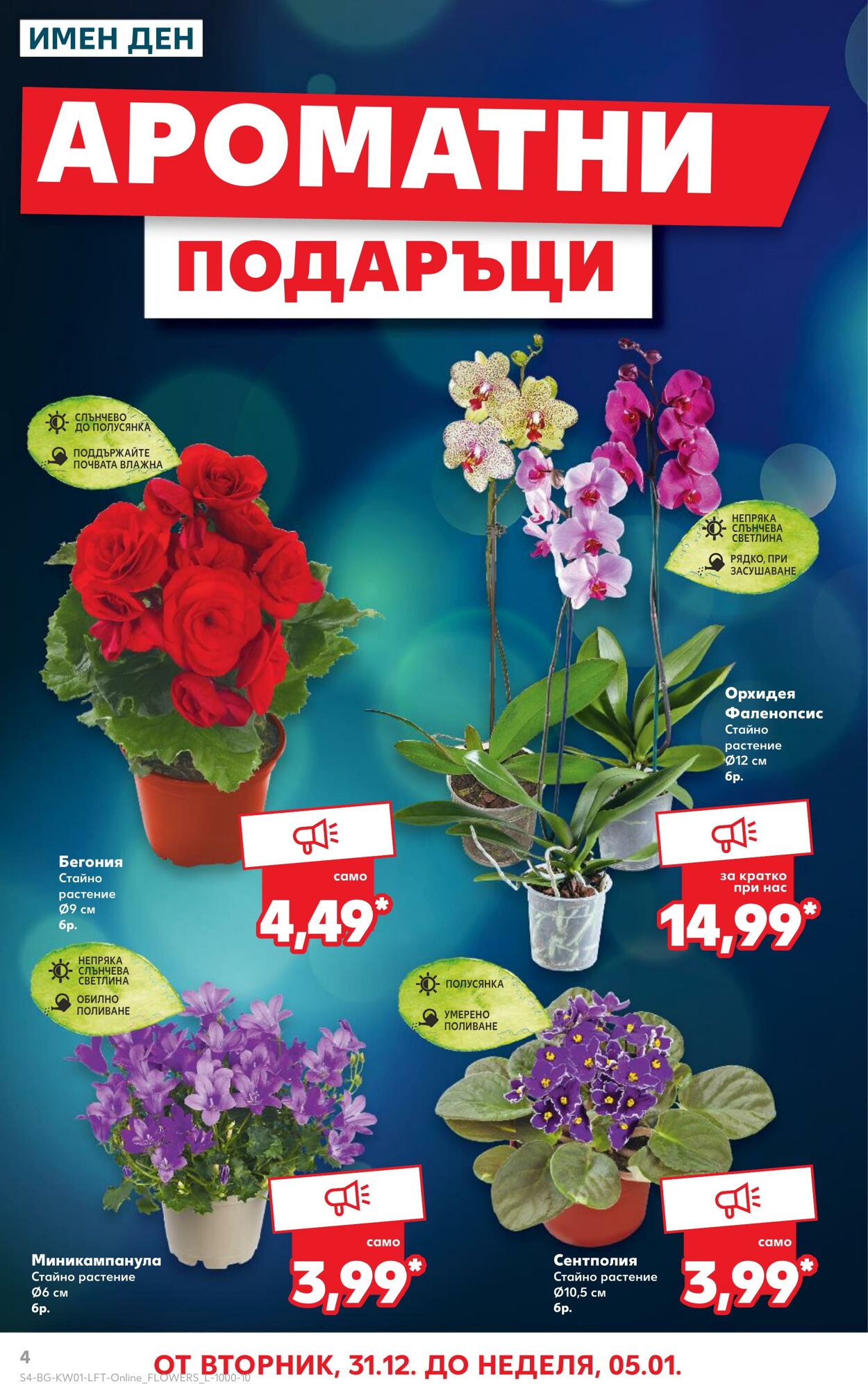 каталог Kaufland 30.12.2024 - 05.01.2025