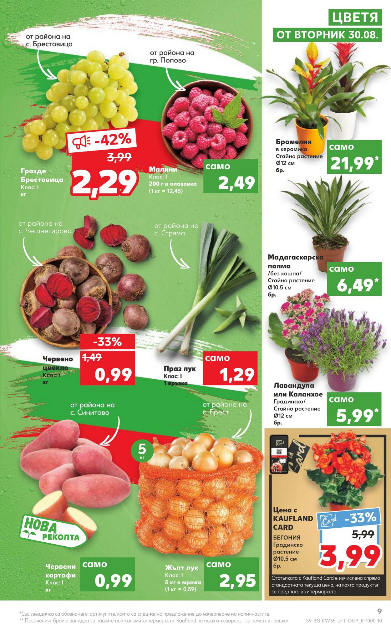 каталог Kaufland 29.08.2022 - 04.09.2022