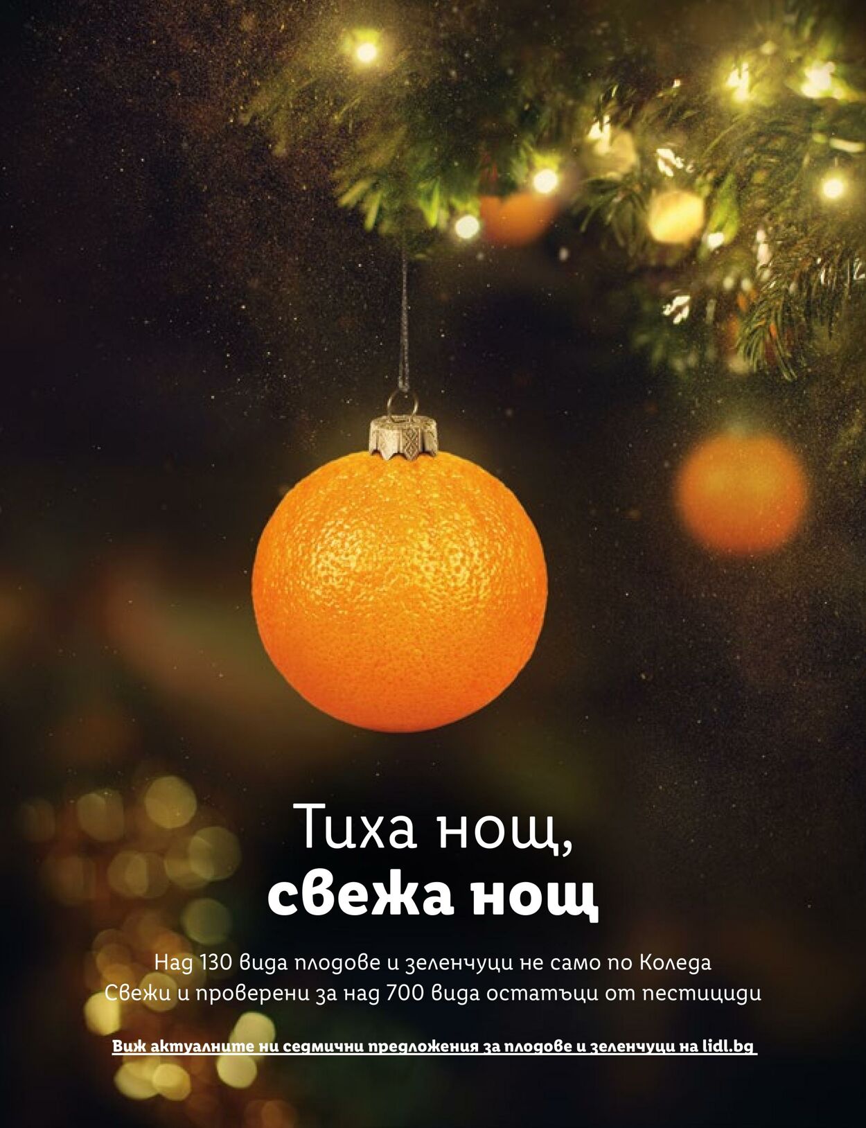 каталог Lidl 17.11.2022 - 31.12.2022