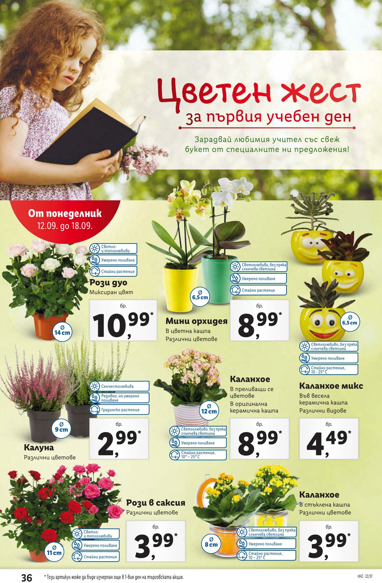 каталог Lidl 12.09.2022 - 18.09.2022