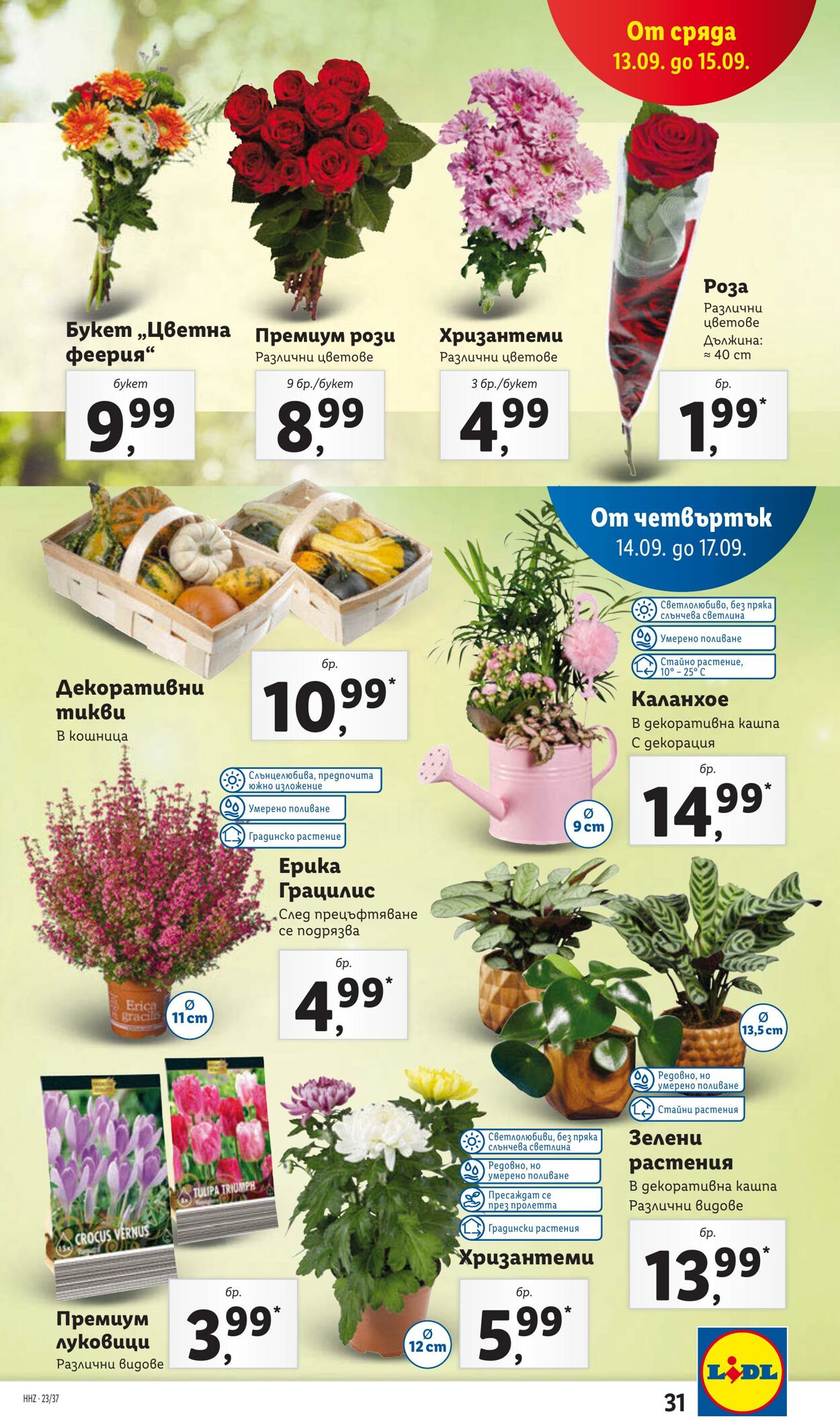 каталог Lidl 11.09.2023 - 17.09.2023