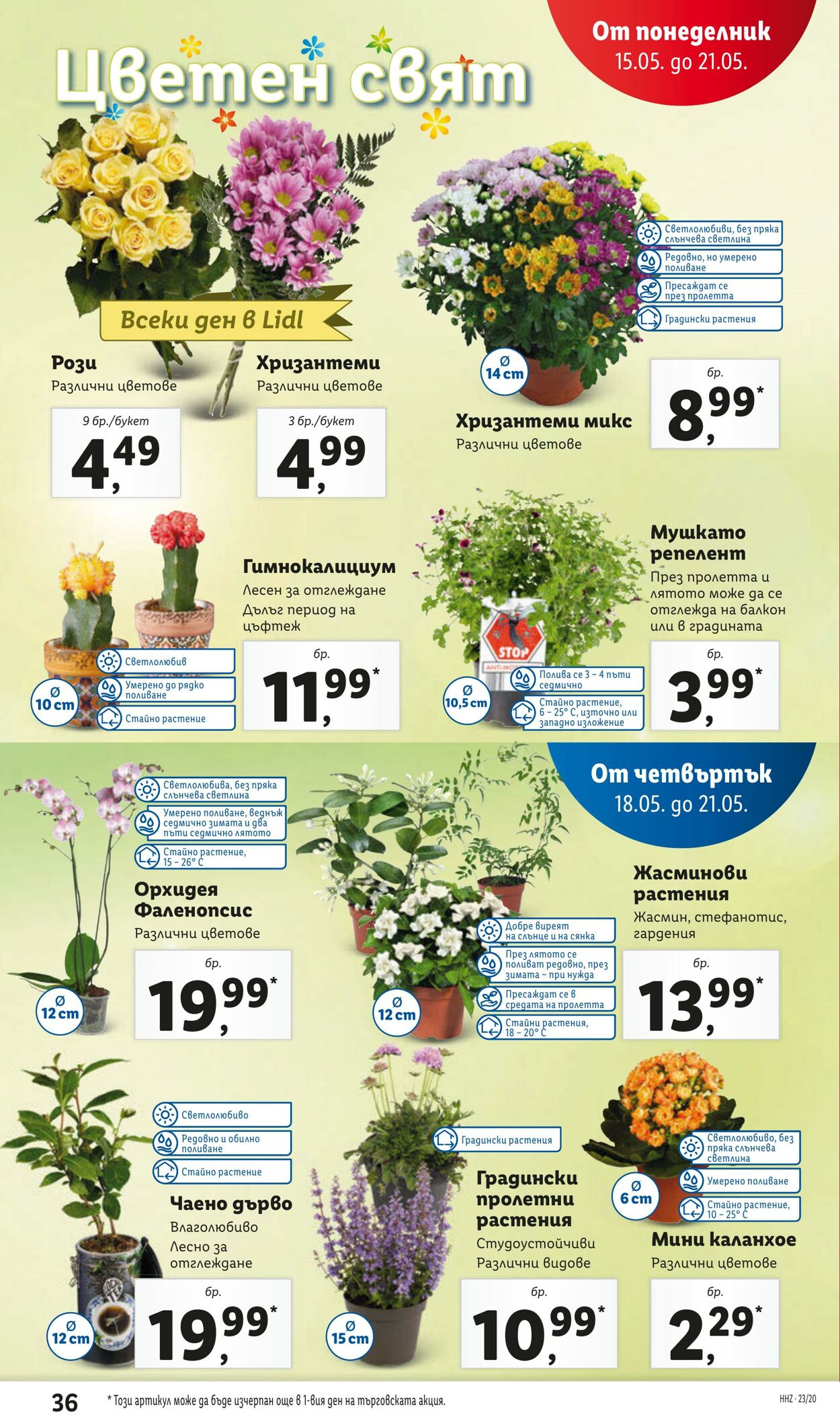 каталог Lidl 15.05.2023 - 21.05.2023